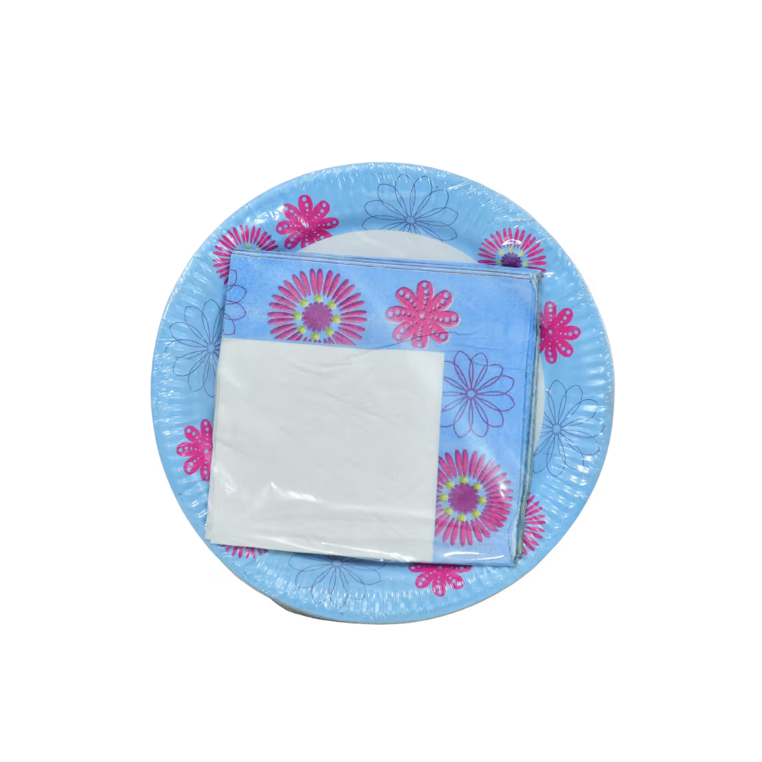 Disposable Plates Basket Deliveries