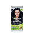Garnier Color Natural Black 1 Basket Deliveries