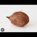 COCONUT