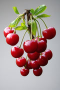 CHERRY BOX