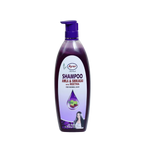 Shampoo Amla and Shikakai Ayur Basket Deliveries